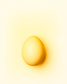 Pale yellow Easter egg on a pale yellow background