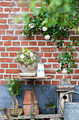Arrangement of roses in glass goblet and climbing rose 'New dawn' on exterior house wall