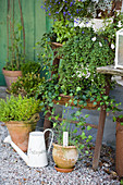 Vertical planter: wicker baskets on ladder, potted herbs on gravel floor