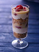 Berry trifle in a tall dessert glass