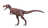 Appalachiosaurus dinosaur, illustration