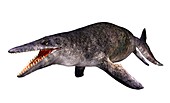 Mosasaurus marine reptile, illustration