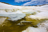 Algae in melting glacial ice, Antarctica
