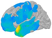 Electrical brain waves for memory retrieval, illustration