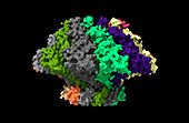 Bacteriophage T7 portal protein, computer model