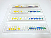 Bacteria identification kits