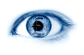 Human eye with pound sterling currency symbol, illustration