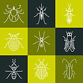 Common pests, conceptual illustration