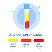 Composition of blood, conceptual illustration