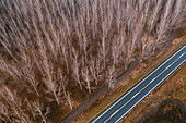 Aerial photography of empty road and forest