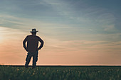 Farmer in wheatgrass field
