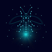 Luminous firefly, conceptual illustration