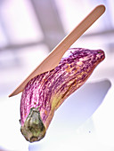 A wooden knife in a striped organic eggplant