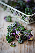 Flower sprouts (a cross between Brussels sprouts and kale)