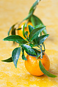 Tangerines with leaves on a yellow background