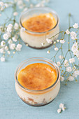 Mini cheescakes in a jar