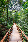 Lapas Rojas Eco Lodge, Osa Peninsula, Costa Rica, Central America