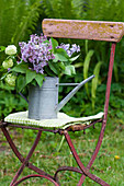 Strauß aus Flieder und Schneeball in Zinkgießkanne auf Stuhl im Garten