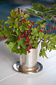 Rote Johannisbeeren an Zweigen in Vase