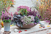 Autumn bowl with stonecrop 'Carl' 'Pure Joy', budding heather, coral bells 'Silver Gumdrop', ornamental cabbage and horn violets, potted geranium 'Beauty Queen Silvia' and horn violets in a zinc pot