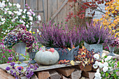 Wooden boxes with budding heather, bouquets of faded hydrangea flowers, edible gourd, five leafed ivy, Callicarpa bodinieri, and white chrysanthemum