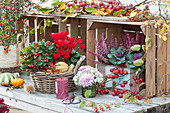 Herbst-Arrangement mit Alpenveilchen, Scheinbeere, Topferika, Zierkohl, Zierkürbis, Zierapfel und Sträußchen aus Chrysantheme und Hortensie