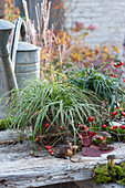 Evergreen grasses in baskets: Sedge 'Evercream' and 'Ribbon Falls', twig with rose hips, moss, and mushrooms