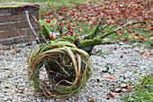 Autumn wreath of Chinese silver grass on a basket with mossy twigs and rose hips