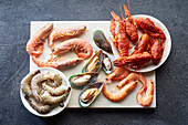 Seafoo-Stillleben: Flusskrebse, Shrimps und  Grünlippmuscheln