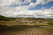 Weinlandschaft, Dorf Fuisse, Burgund, Frankreich