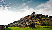 Weinlandschaft und Weinberg, Tenuta Monteverro, Maremma, Toskana, Italien