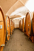 Barrel cellar, Lageder vineyard, South Tyrol