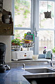 Baking tins used as planter saucers on old food scales near the kitchen window