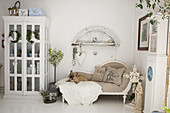 Dog lying on recamiere in shabby-chic living room