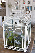 Arrangement of moss, feathers and grape hyacinths in ornate lantern
