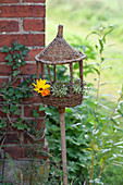 Wicker bird feeder on pole