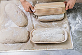 Brown bread being made: dough being knocked out of raising baskets onto a tray