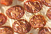 Dried tomato slices on a piece of paper