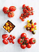 Tomaten in verschiedenen Formen und Farben