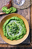 A pea dip with cress and pistachio nuts