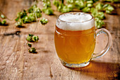 Frisches kaltes Lager-Bier mit grünen Hopfenzapfen