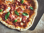 Pizza with prosciutto and basil