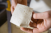 Tofu production - a hand holding fresh tofu