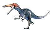 Artwork of the dinosaur suchomimus