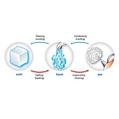 States of matter, illustration