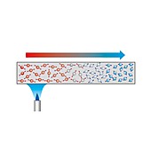 Thermal conduction in a metal, illustration