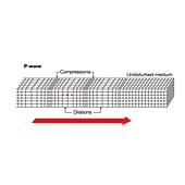 Seismic P-wave propagation, illustration