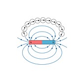 Magnetic field around a bar magnet, illustration
