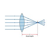 Convex lens, illustration