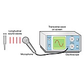 Oscilloscope displaying sound wave signal, illustration